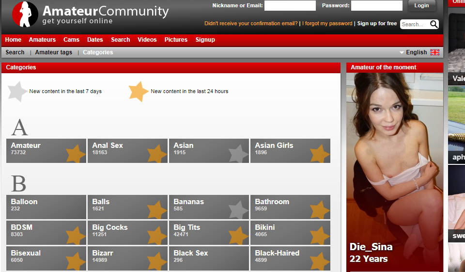 AmateurCommunity Review