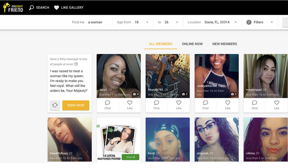 OneNightFriend Review