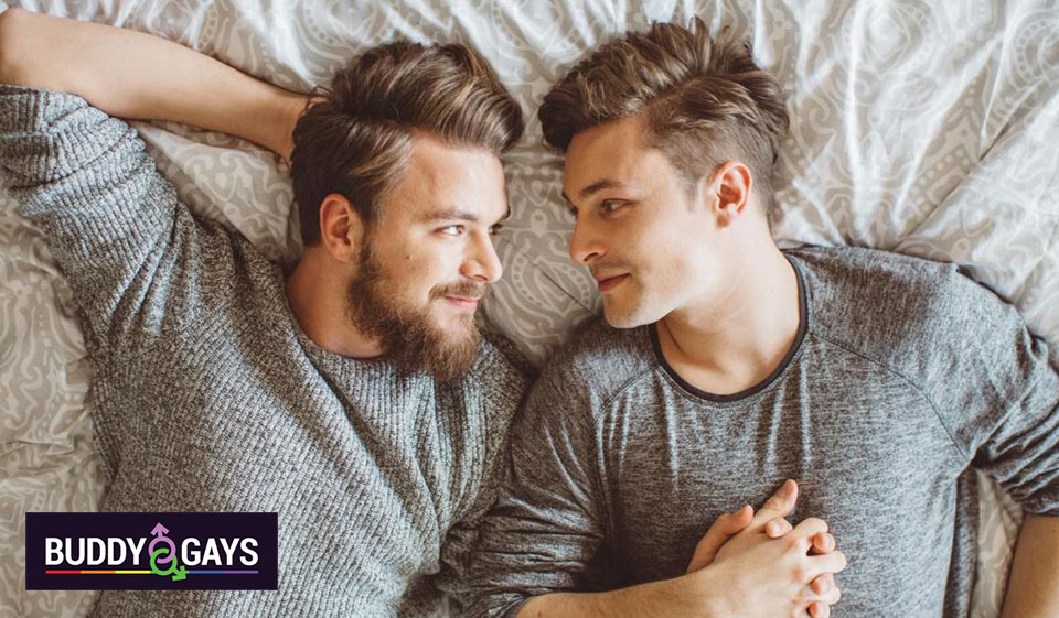 BuddyGays Review