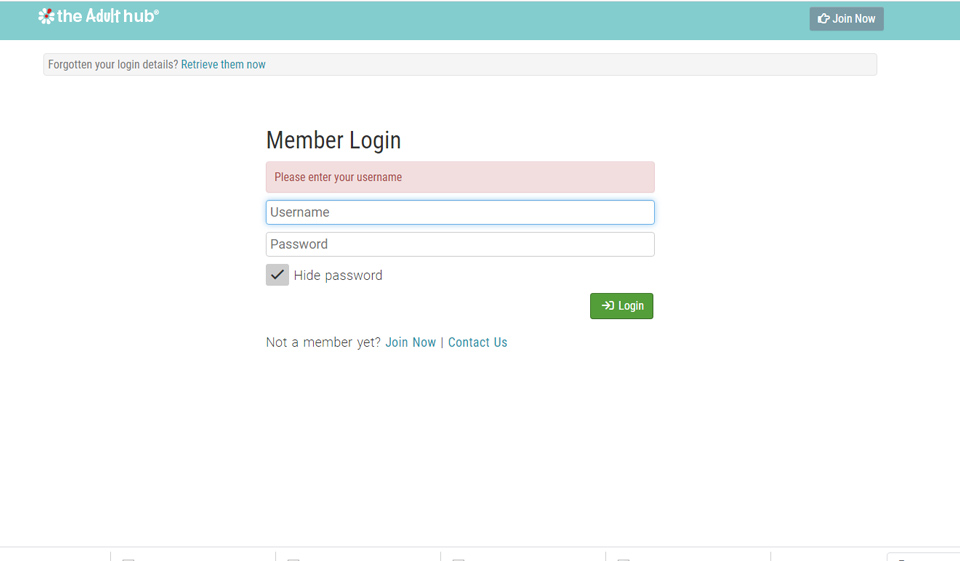 The Adult Hub Review