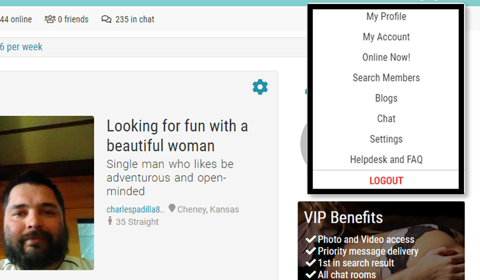 The Adult Hub Review