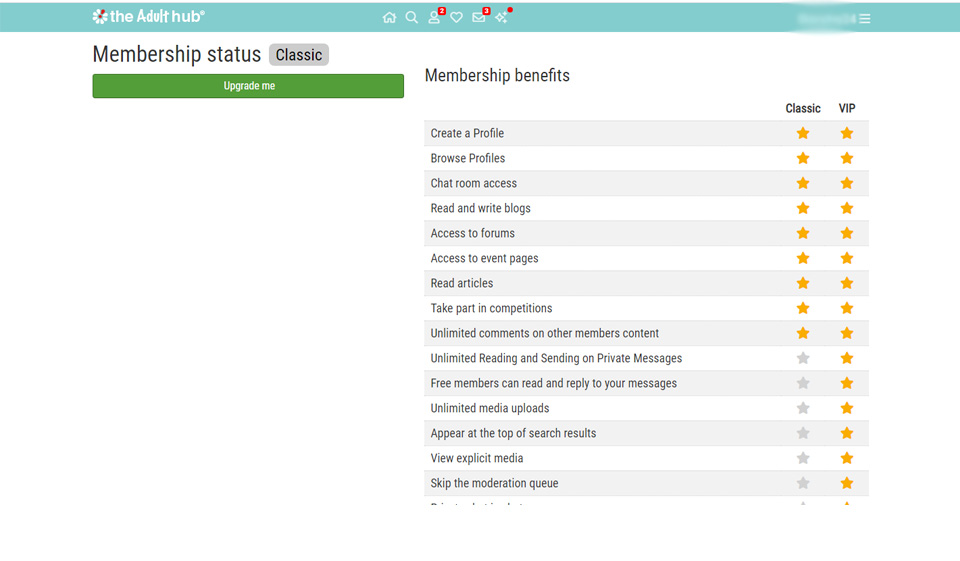 The Adult Hub Review