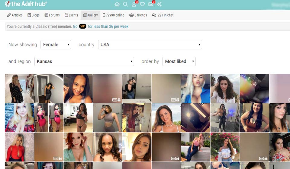 The Adult Hub Review