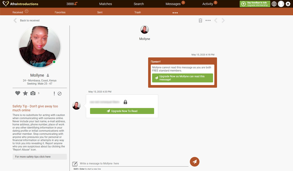 Afrointroductions Fazit