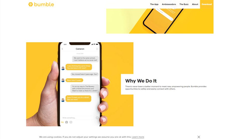 Bumble Design & Usability