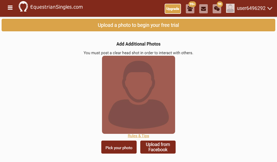 Profile Equestrian Singles