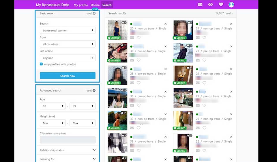 MyTranssexualDate User Profiles Quality