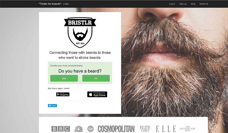 Bristlr Review 2025 – Perfect or Scam?