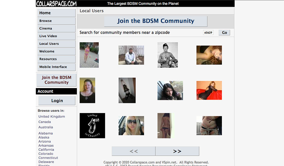 Collarspace How does Collarspace Work?