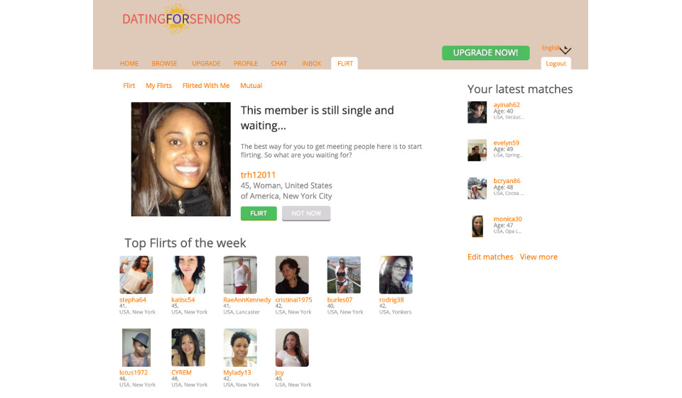 Website Design & Usability