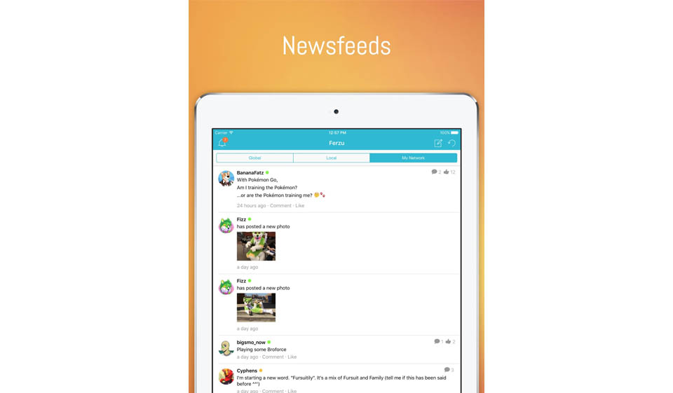 Valutazione professionale di Ferzu