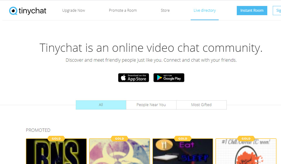 TinyChat Review 2025 – Perfect or Scam?
