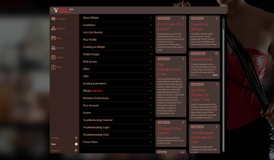 Expert’s Review of Whiplr