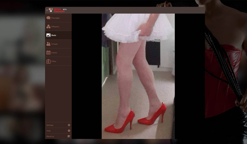 How does Whiplr work?