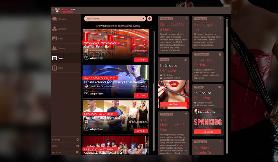 Website Design & Usability