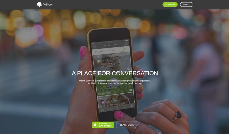 Willow Review 2025 – Perfect or Scam?