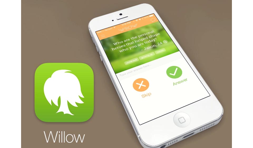 Willow Application
