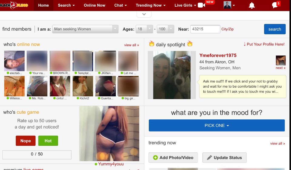 Website Design & Usability