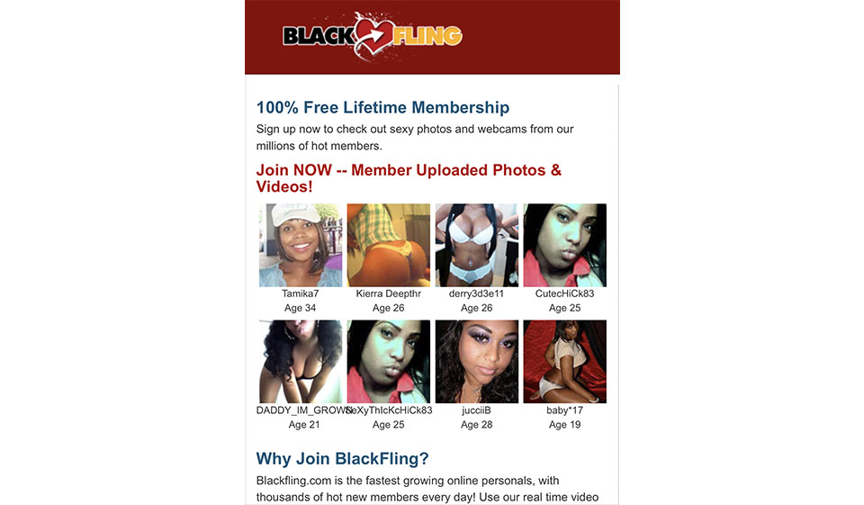 How does Fling.com work?