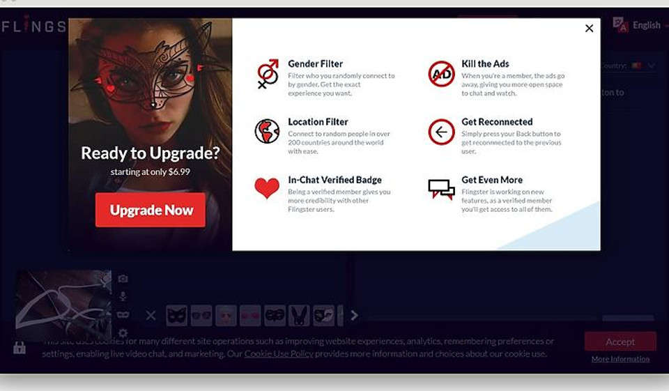Flingster Review 2020 – Perfect or Scam?