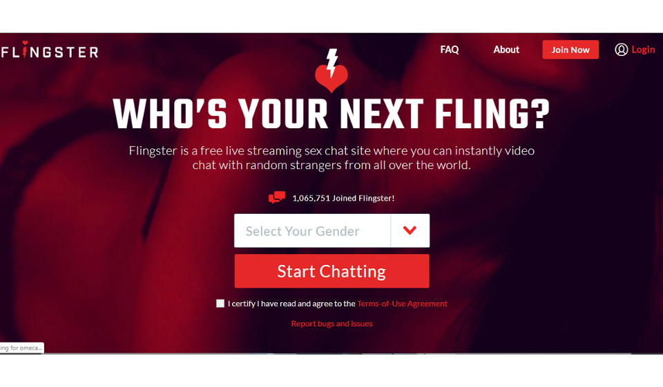 Flingster Review 2025 – Perfect or Scam?