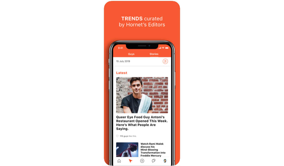 Hornet Review 2020 – Perfect or Scam?