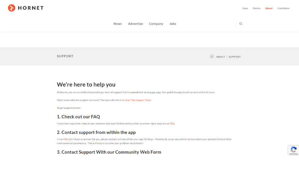 Hornet Review 2020 – Perfect or Scam?