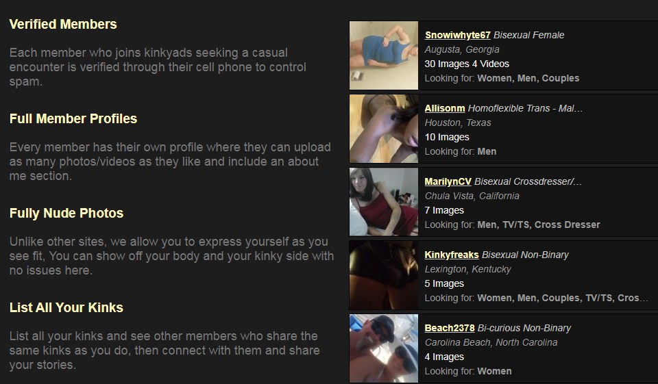 Kinkyads Review 2020 – Perfect or Scam?