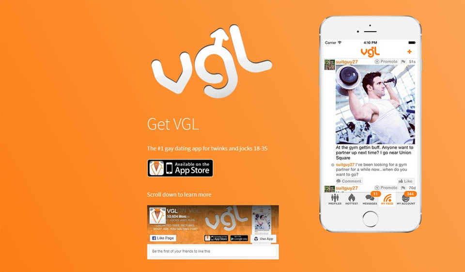 VGL Review 2025 — Perfect or Scam