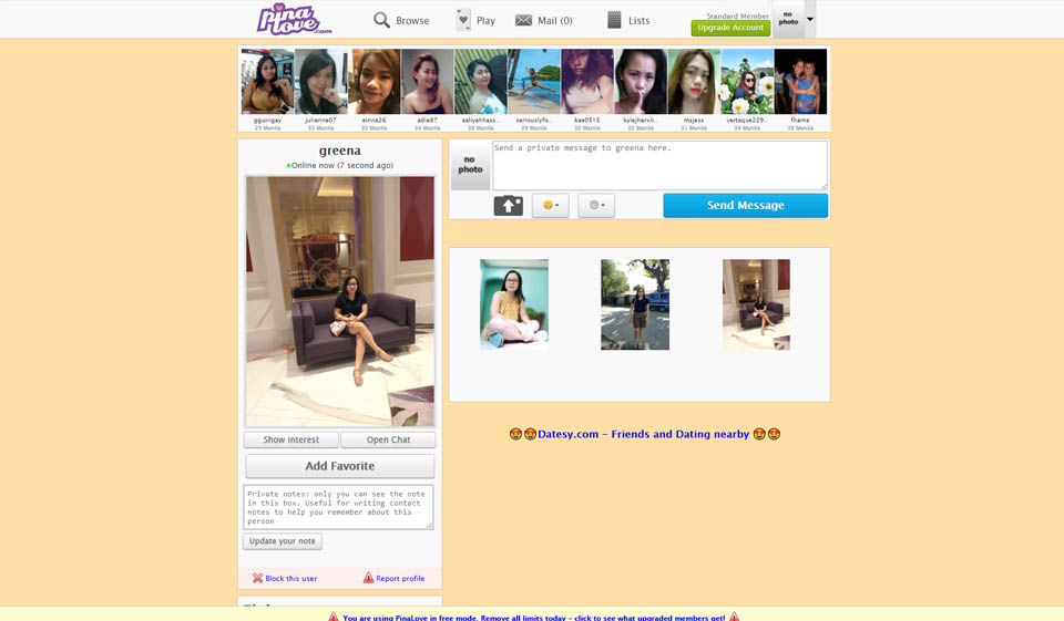 How does PinaLove work?