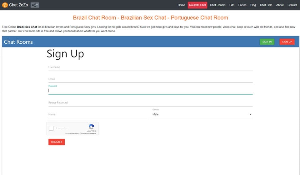 How does ChatZozo work?