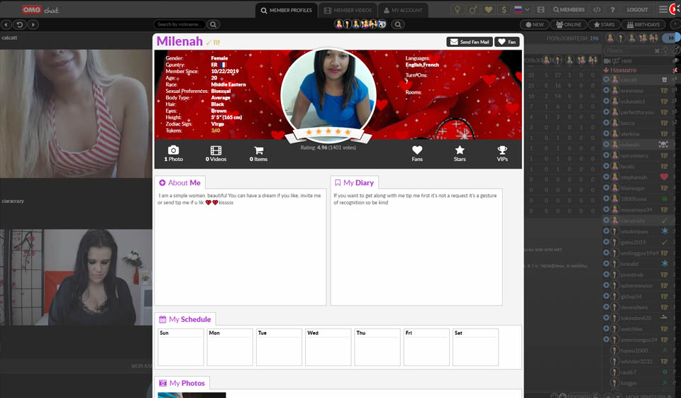 How does OMGChat work?