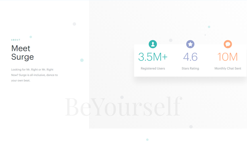 Expert’s Review of Surge