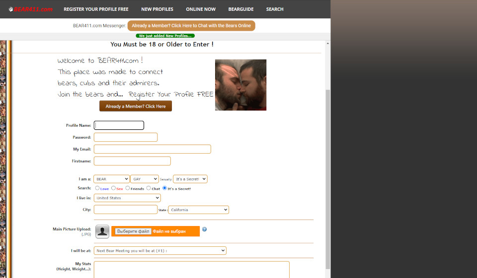 Expert’s Review of Bear411